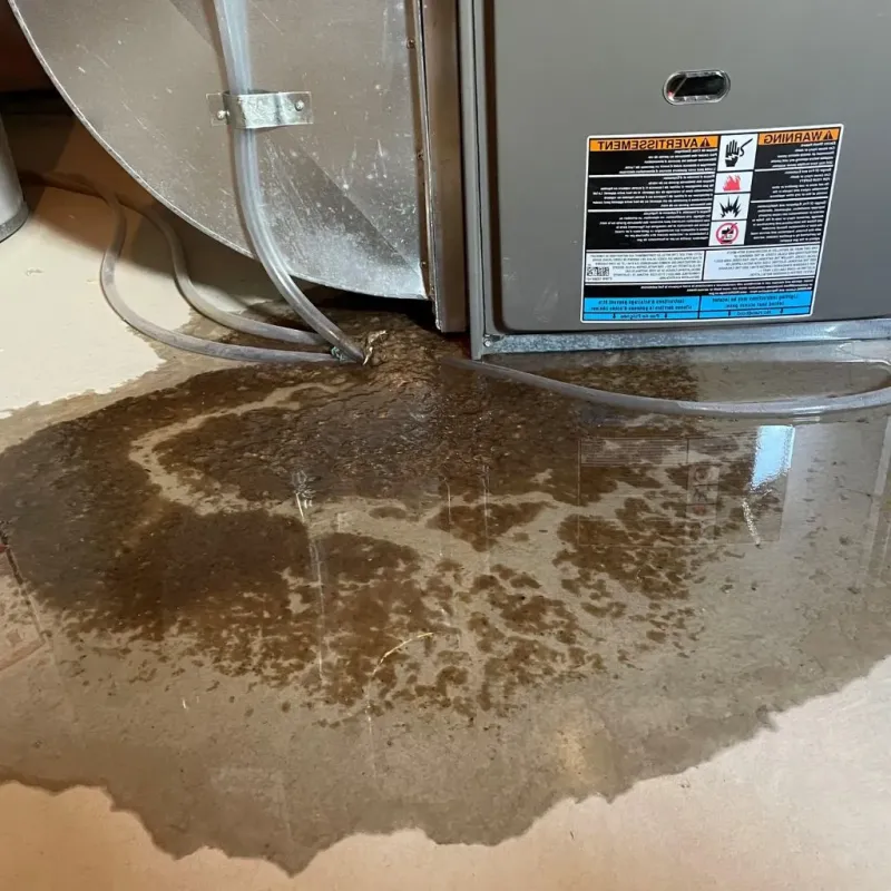 Pipe Burst and Leak Restoration in Fredonia, AZ